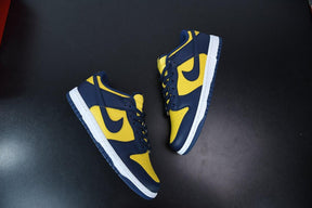 Nike Dunk Low Michigan (2021) - loja.drophype