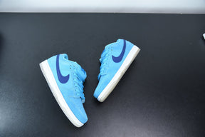 Nike SB Dunk Low Pro Blue Fury