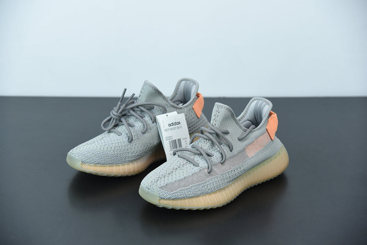 Adidas Yeezy Boost 350 V2 True Form