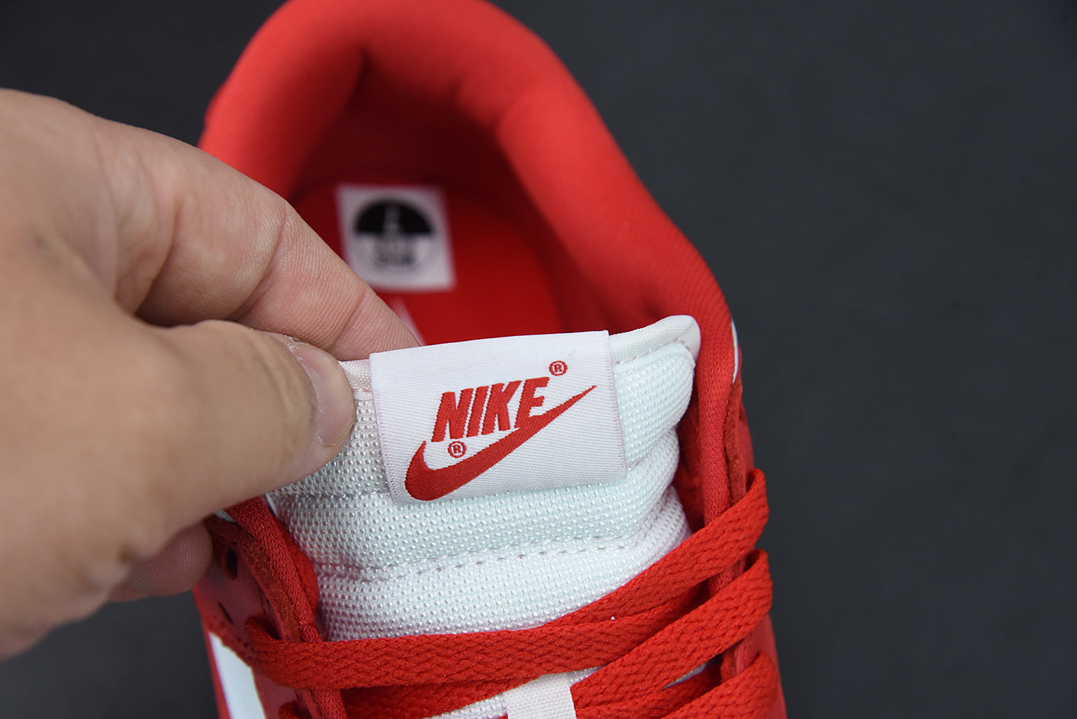 Nike SB Dunk Low "University Red"