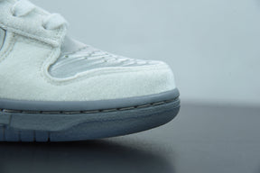 Nike Dunk Winter Themed Low "Ice"